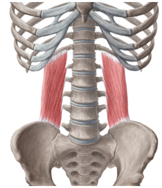 cuadrado-lumbar