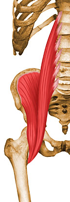 Vista 1 Psoas Ilíaco