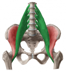 psoas-mayor